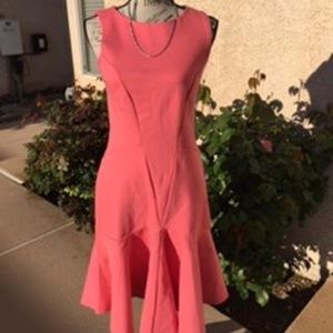 Rose Sleeveless Seamed Stylish Dress Size 8